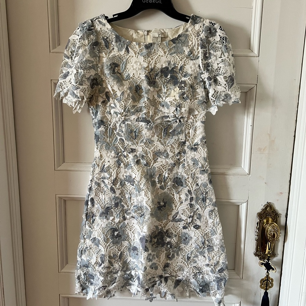 Joie Dress, Beautiful Détails